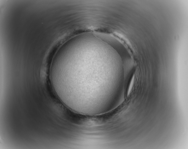 X0000088410736200706051153