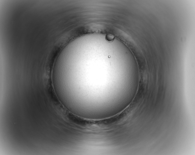 X0000088410737200706051153