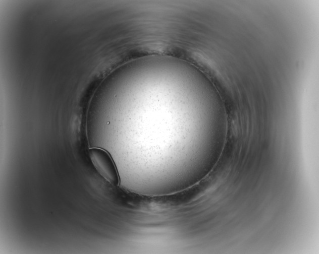 X0000088410739200706051153