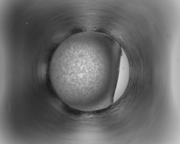 X0000088410742200706051153