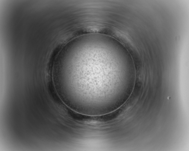 X0000088410743200706051153