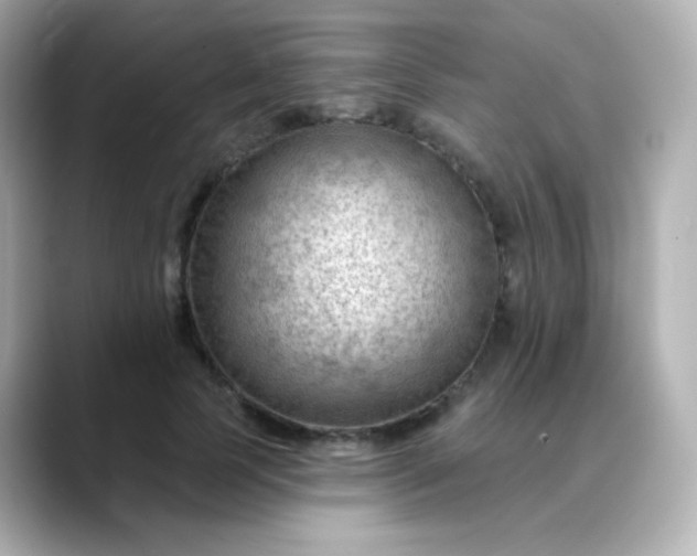 X0000088410745200706051153