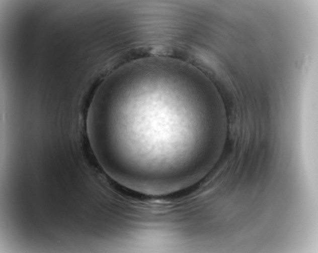 X0000088410748200706051153