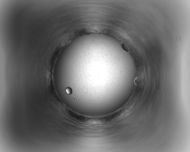 X0000088410749200706051153