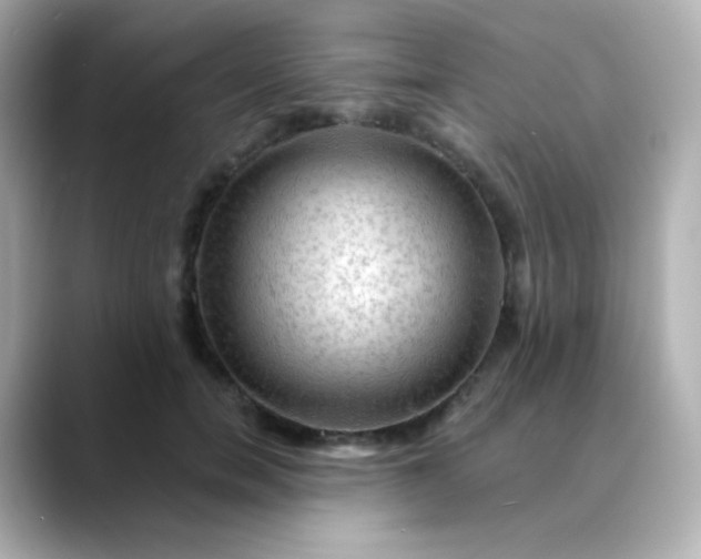 X0000088410750200706051153