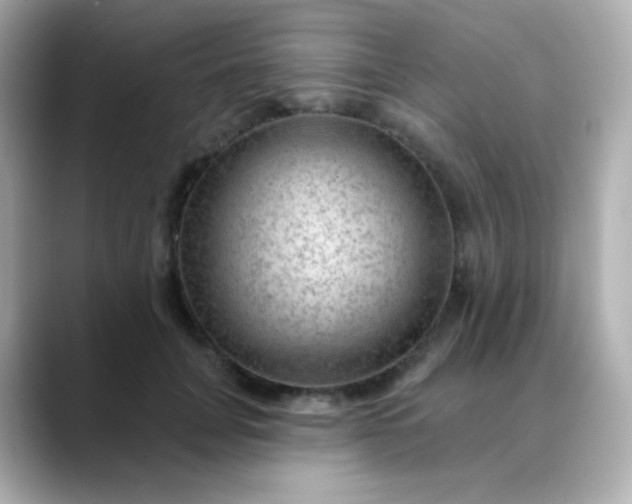 X0000088410751200706051153