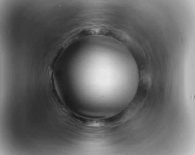 X0000088410754200706051153