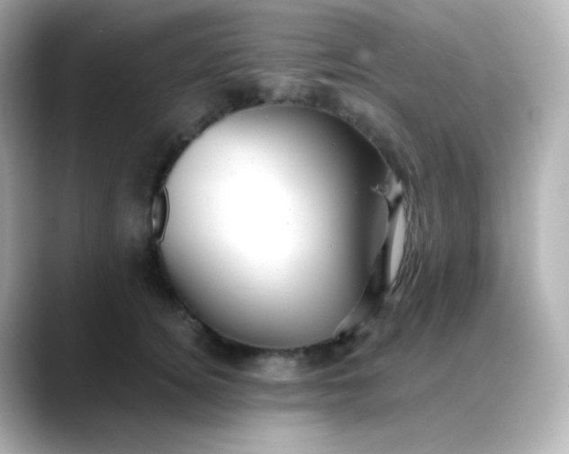 X0000088410756200706051153