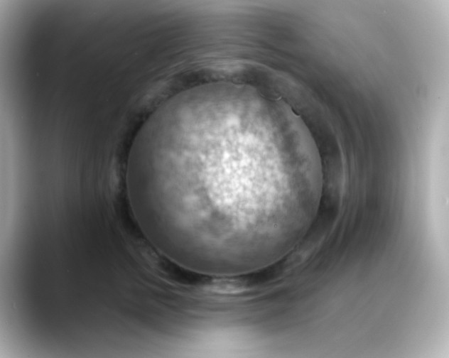 X0000088410758200706051153