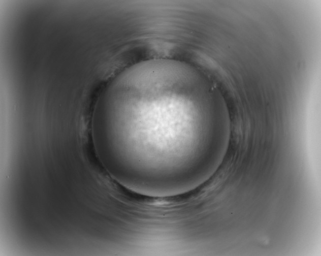 X0000088410759200706051153