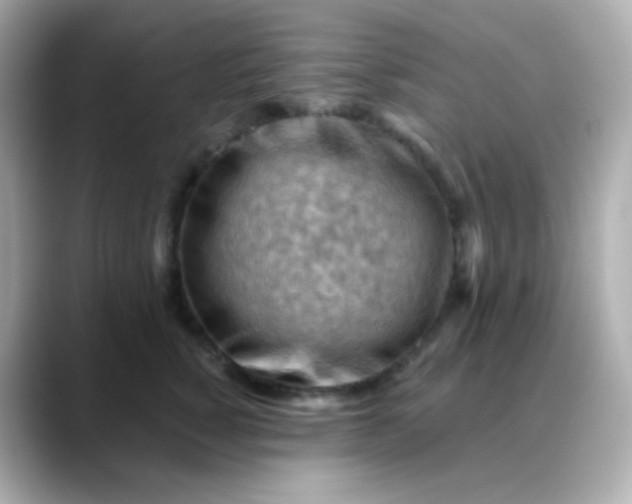 X0000088410760200706051153