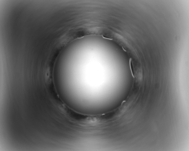 X0000088410764200706051153