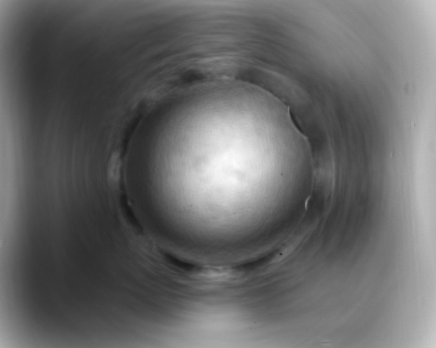 X0000088410767200706051153