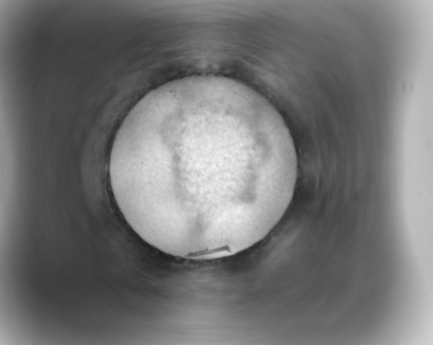 X0000088410769200706051153