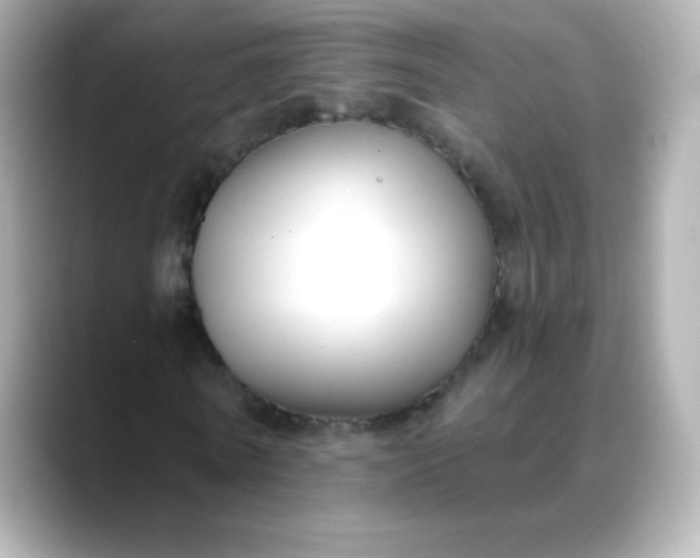 X0000088410770200706051153