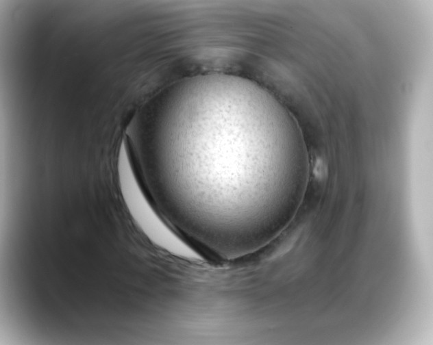 X0000088410771200706051153