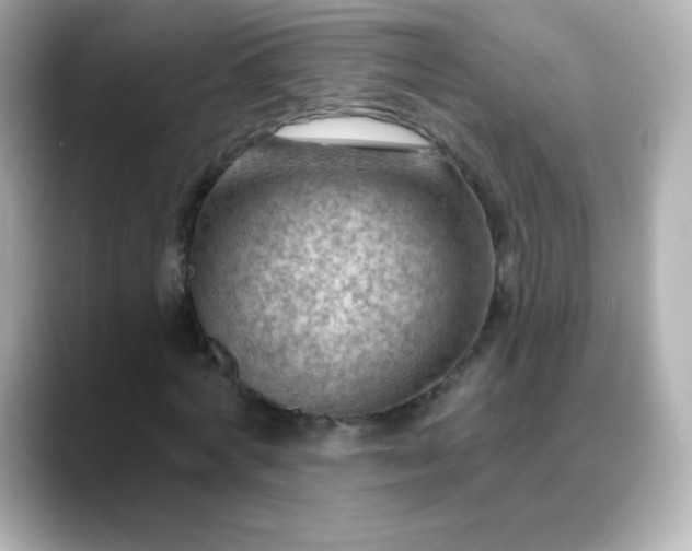 X0000088410772200706051153