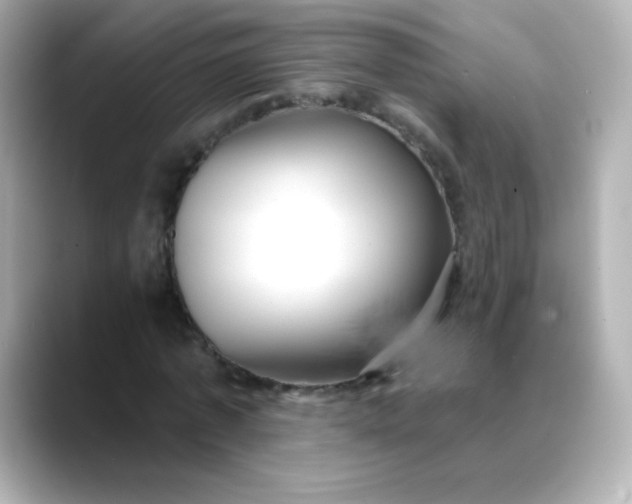 X0000088410773200706051153