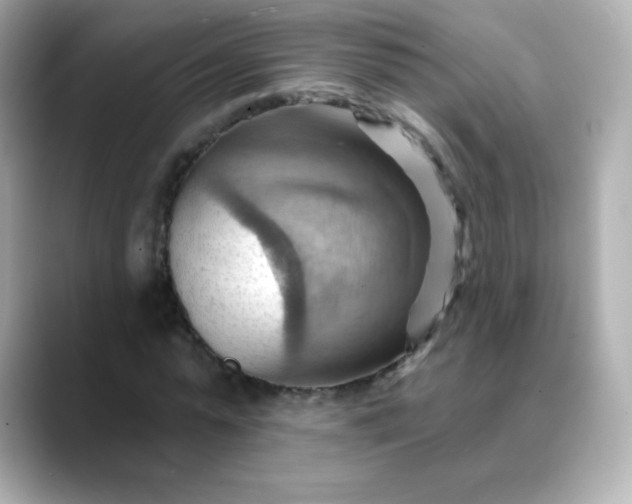 X0000088410775200706051153