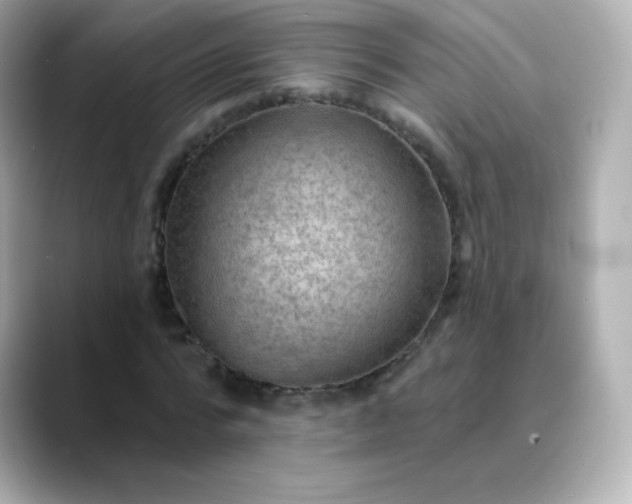 X0000088410776200706051153