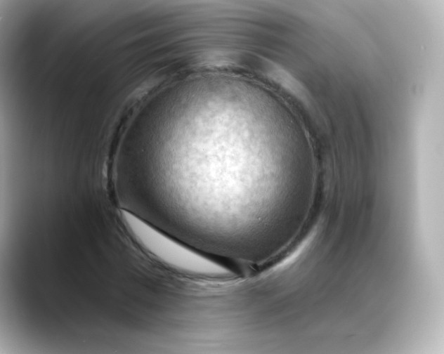 X0000088410777200706051153