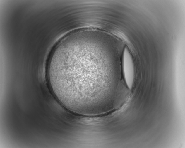 X0000088410780200706051153