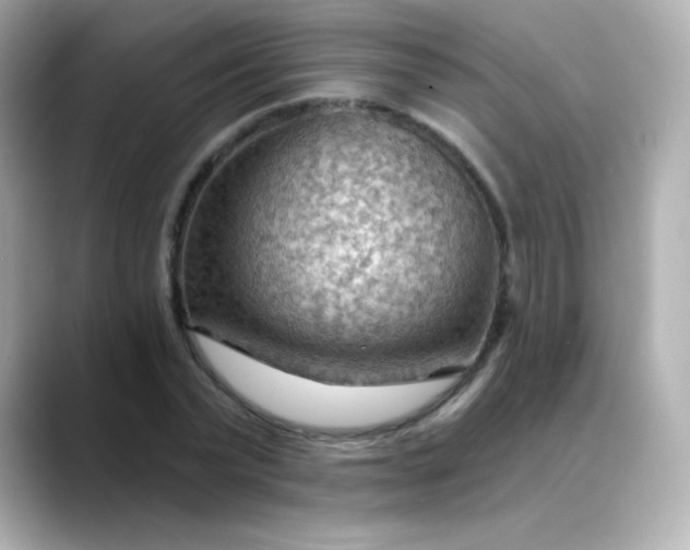 X0000088410783200706051153