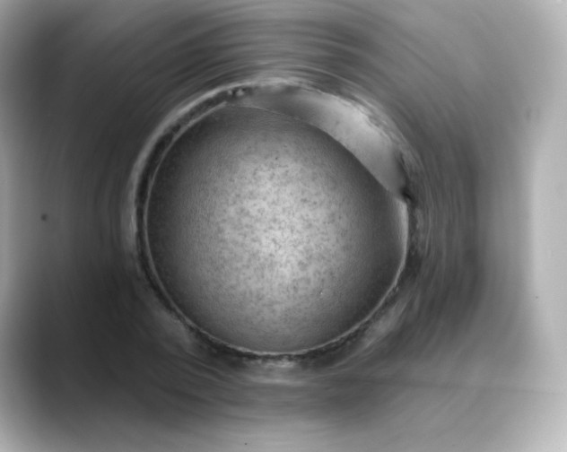 X0000088410784200706051153