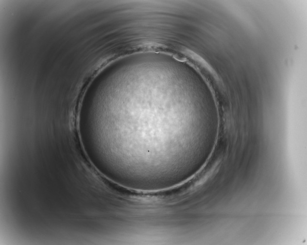 X0000088410785200706051153