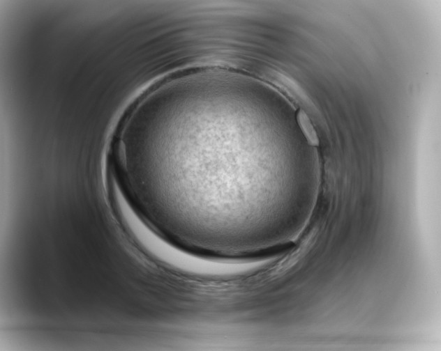 X0000088410788200706051153