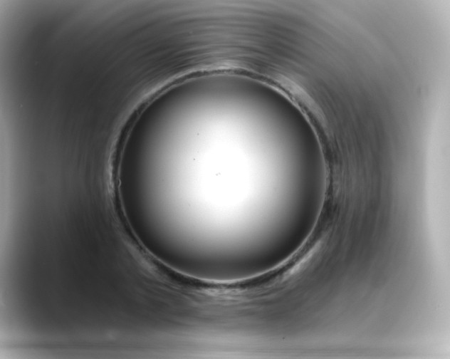 X0000088410789200706051153