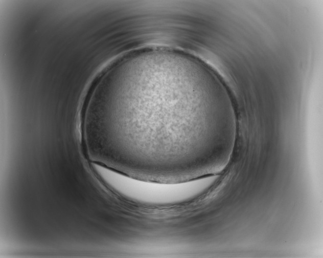 X0000088410791200706051153