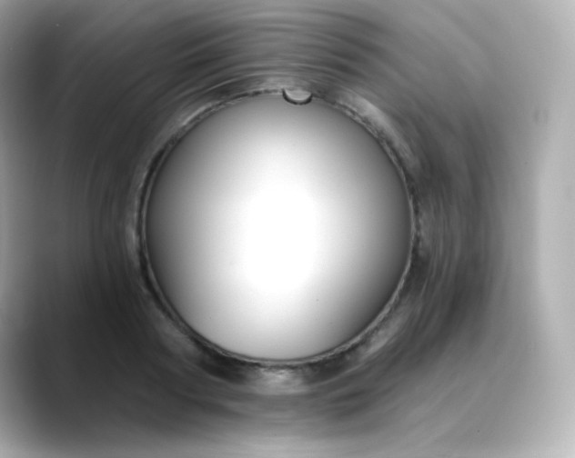 X0000088410794200706051153