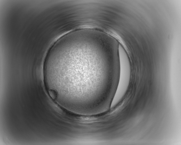 X0000088410795200706051153