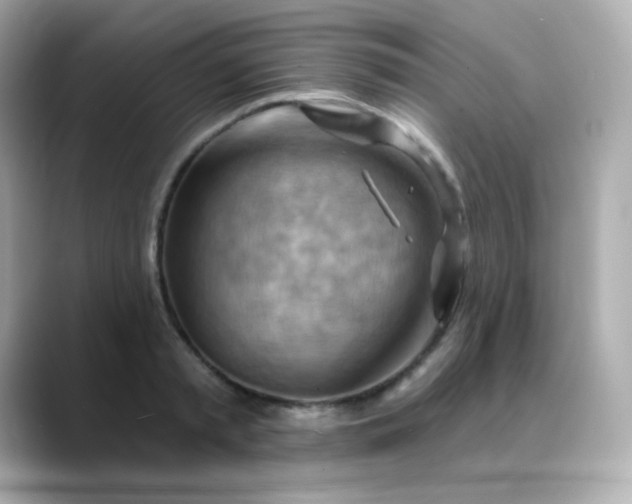 X0000088410797200706051153