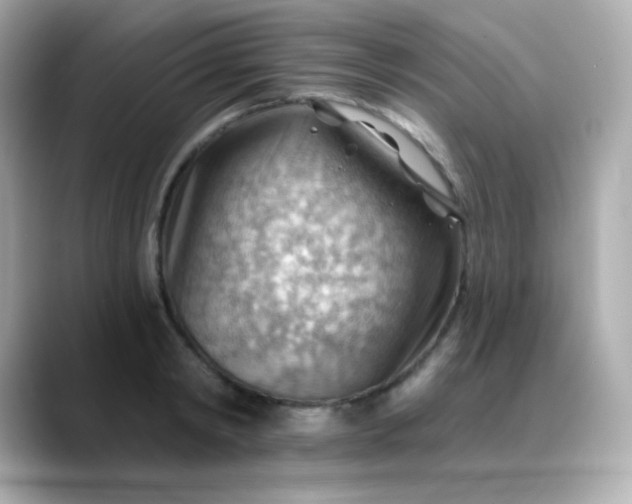 X0000088410798200706051153