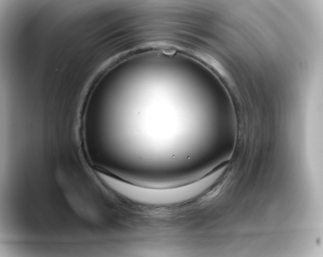 X0000088410799200706051153