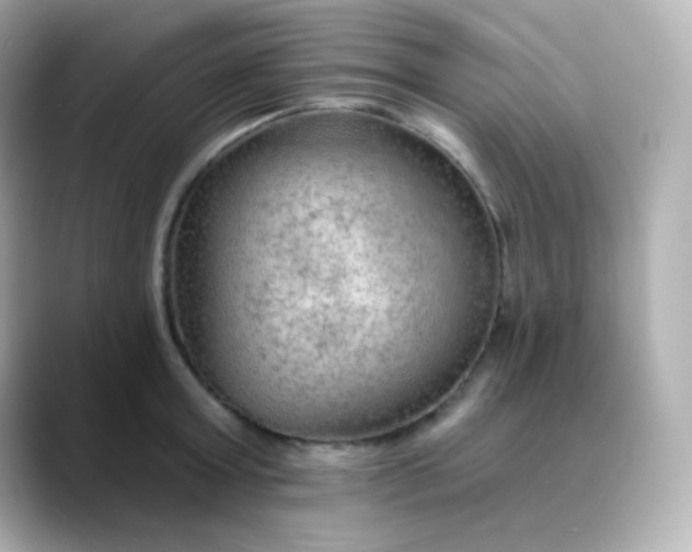 X0000088410803200706051152