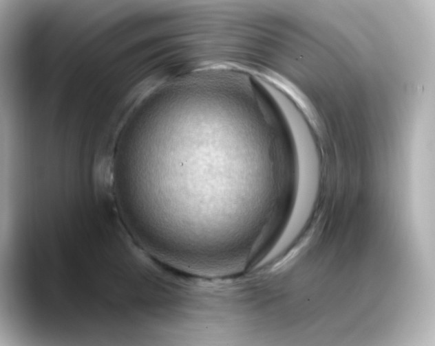 X0000088410809200706051152