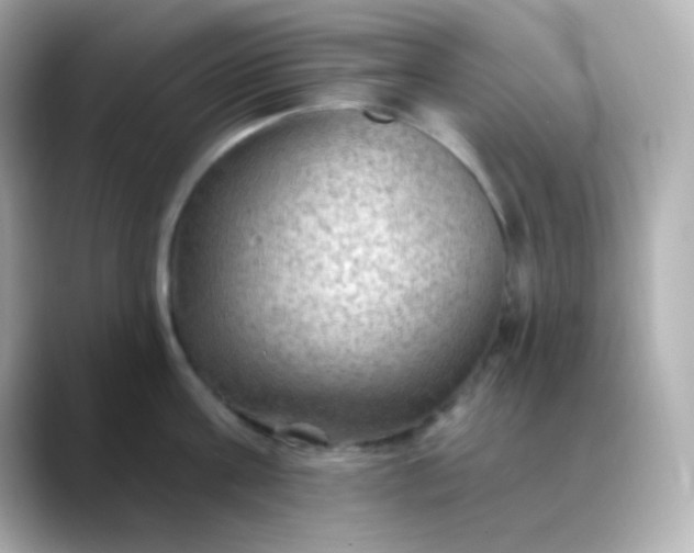 X0000088410811200706051152