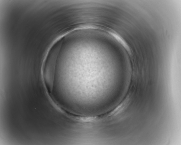 X0000088410813200706051152