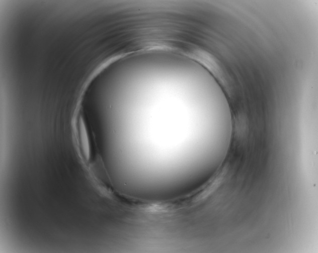 X0000088410814200706051152