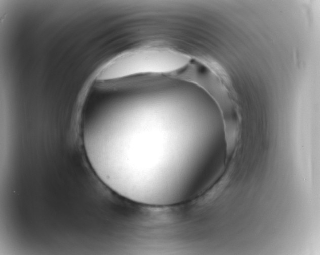 X0000088410816200706051152