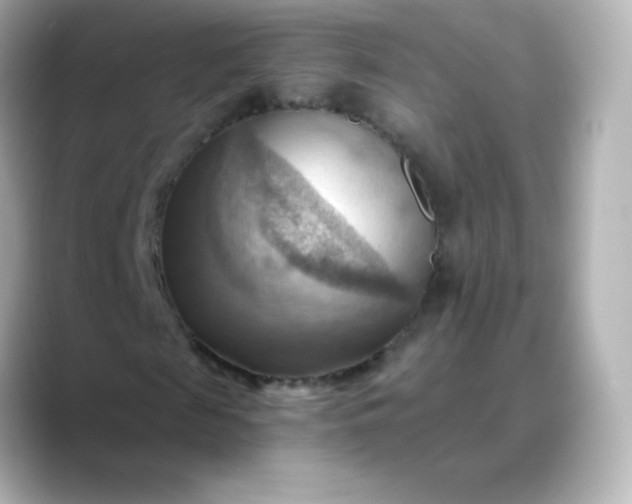 X0000088410817200706051152
