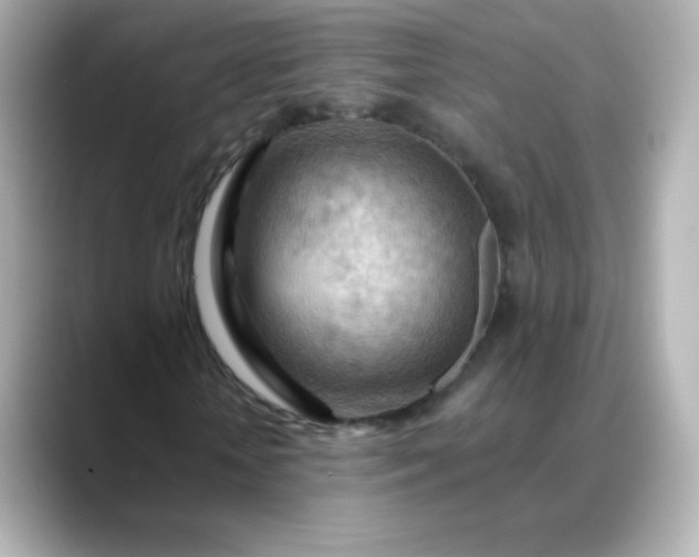 X0000088410818200706051152