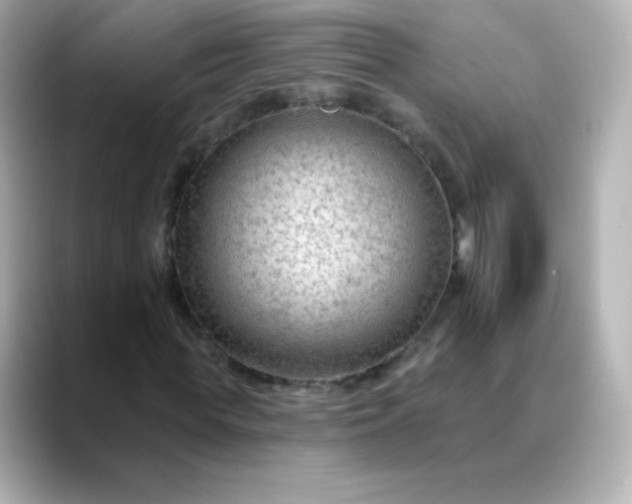 X0000088410819200706051152