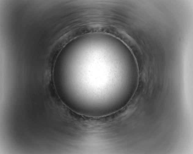 X0000088410821200706051152
