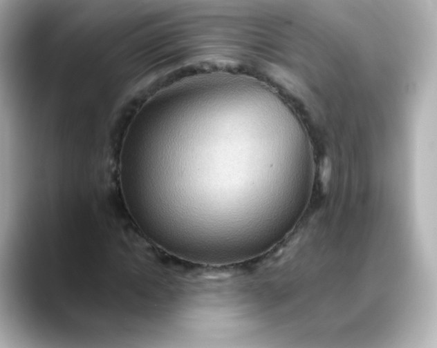 X0000088410822200706051152