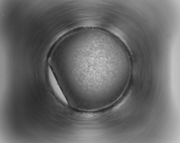 X0000088410829200706051152