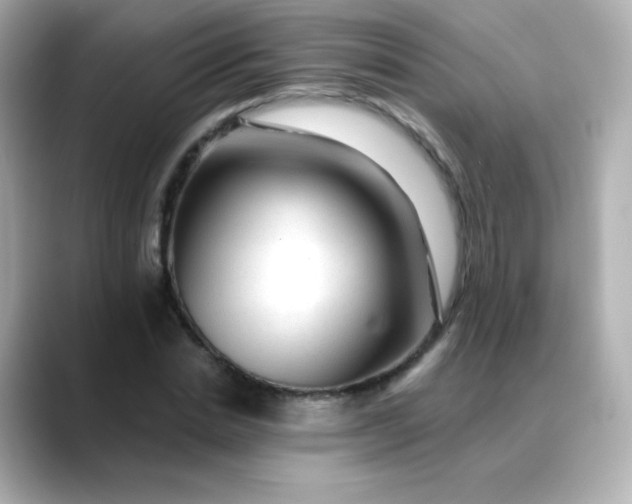 X0000088410830200706051152